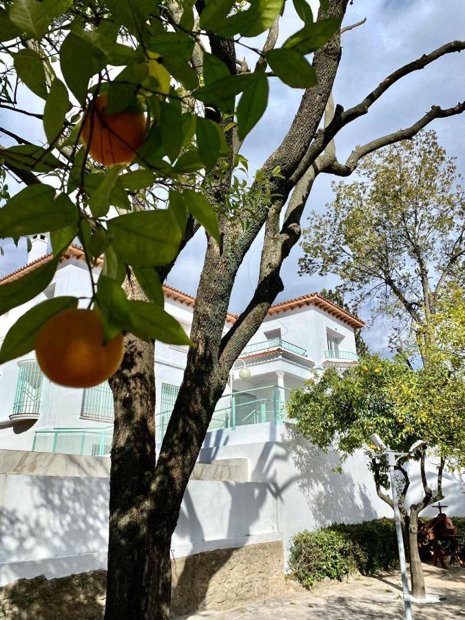 Los Almendros - Free Parking Cordoba Luaran gambar